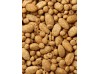 Mazuri® Large Bird Diet 56A8 (25lb)