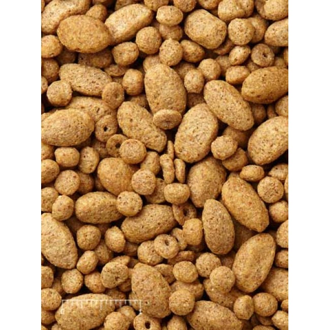 Mazuri® Large Bird Diet 56A8 (25lb)