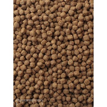 mazuri koi platinum nuggets