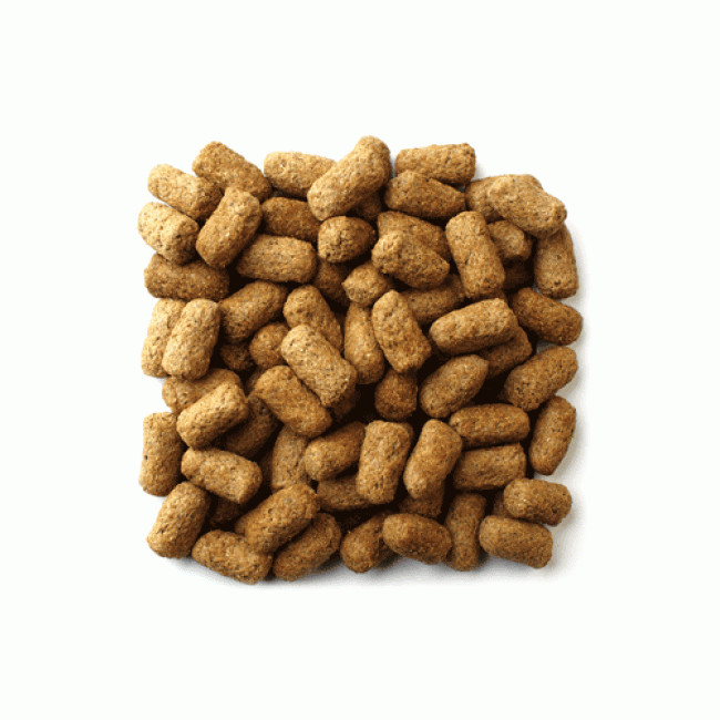 Mazuri® Tortoise Diet 5M21 (25 lb)