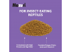 Mazuri® Bearded Dragon Diet 5MKJ (8oz)