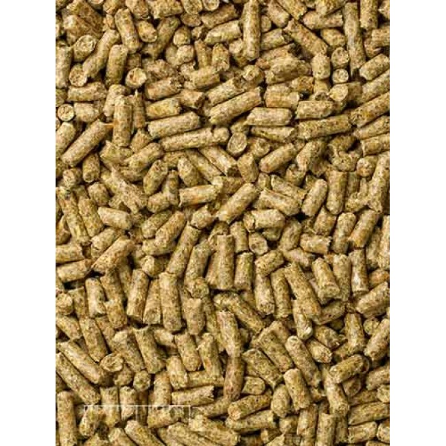 Mazuri® Timothy-Based Guinea Pig Diet 5E6A (5lbs)